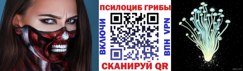 Псилоцибиновые грибы Psilocybe Сковородино